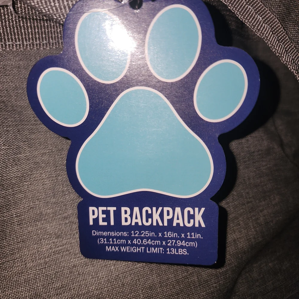 Gray Men's Backpack